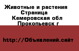  Животные и растения - Страница 2 . Кемеровская обл.,Прокопьевск г.